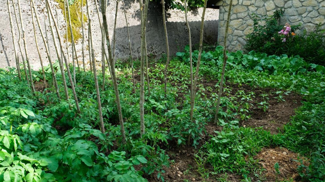 Prevalis Nature Cottage Virpazar Exterior photo